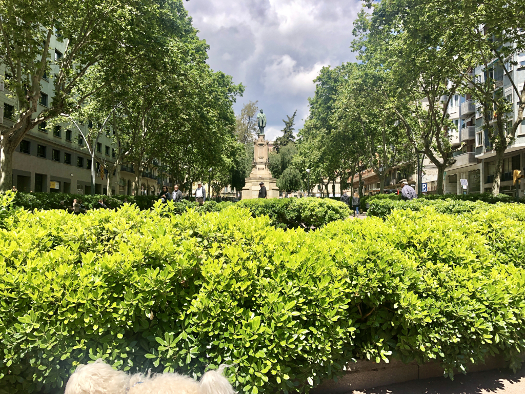 Vender tu piso en Camp d'en Grassot i Gràcia Nova